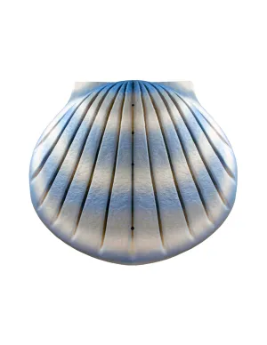 Aqua - The Shell Biodegradable Cremation Urn