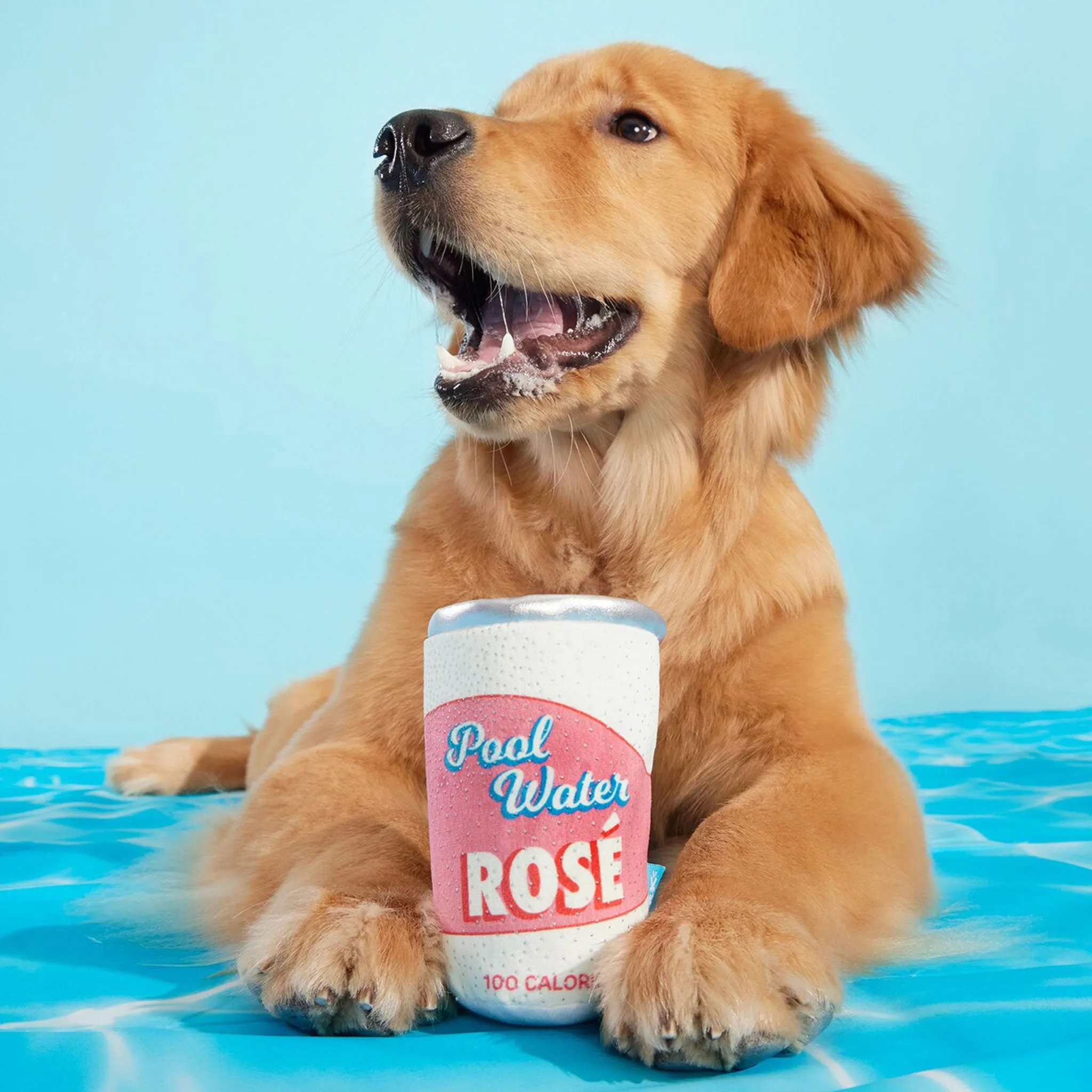Bark Pool Water Rose Dog Toy