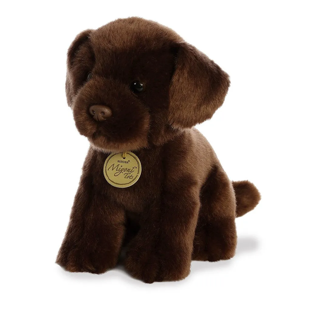 Chocolate Lab Pup