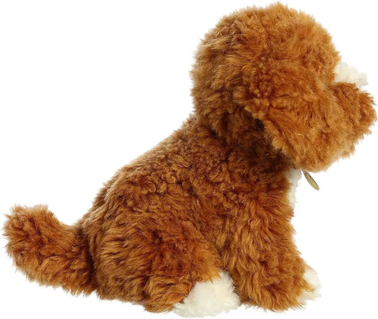 Cockkapoo Pup