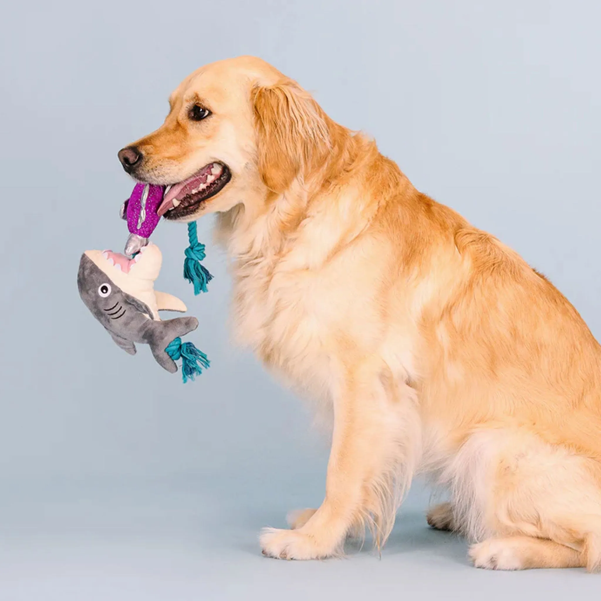 Fringe Shark Bait Dog Toy