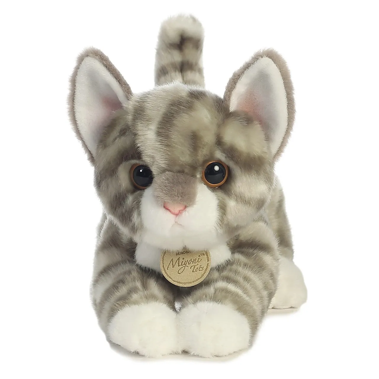 Grey Tabby Kitten