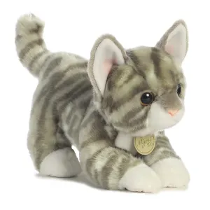 Grey Tabby Kitten