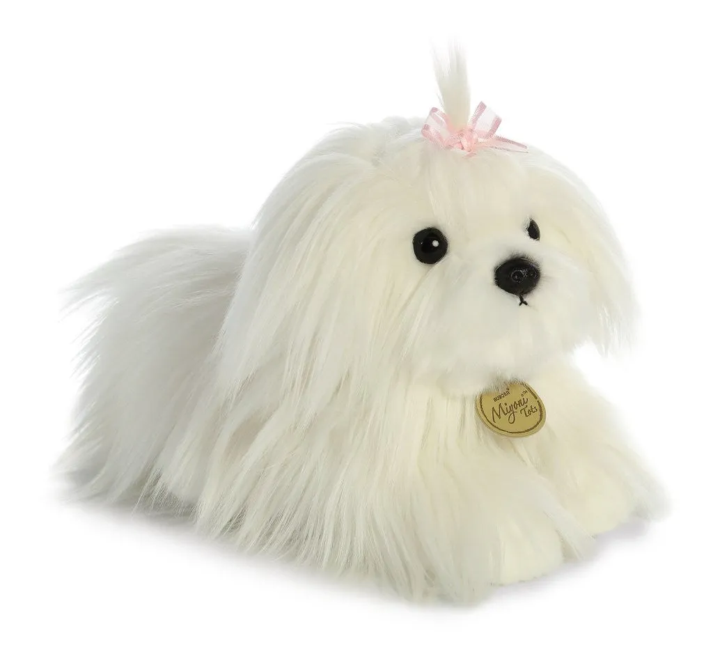 Maltese Puppy