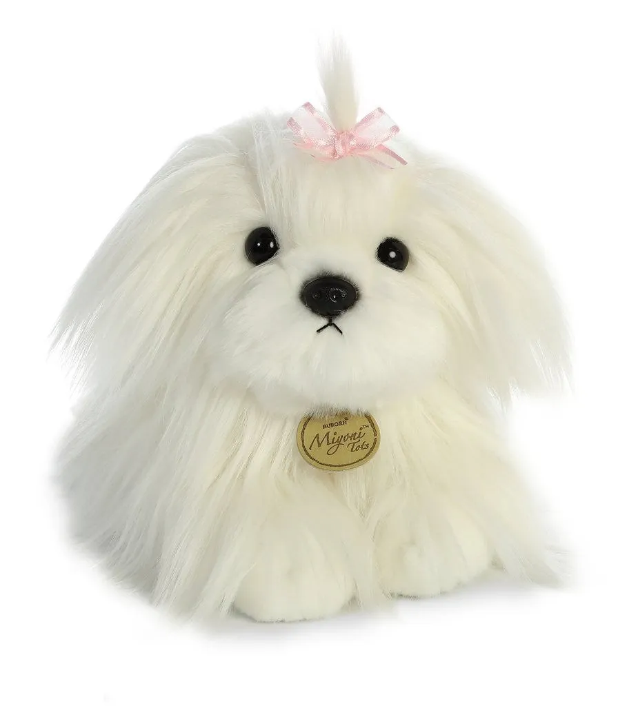 Maltese Puppy