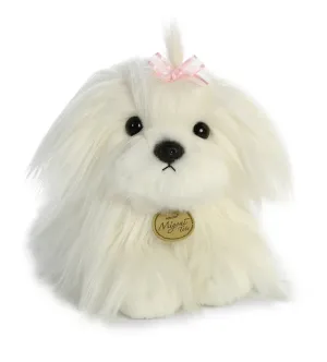 Maltese Puppy