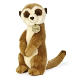 Meerkat