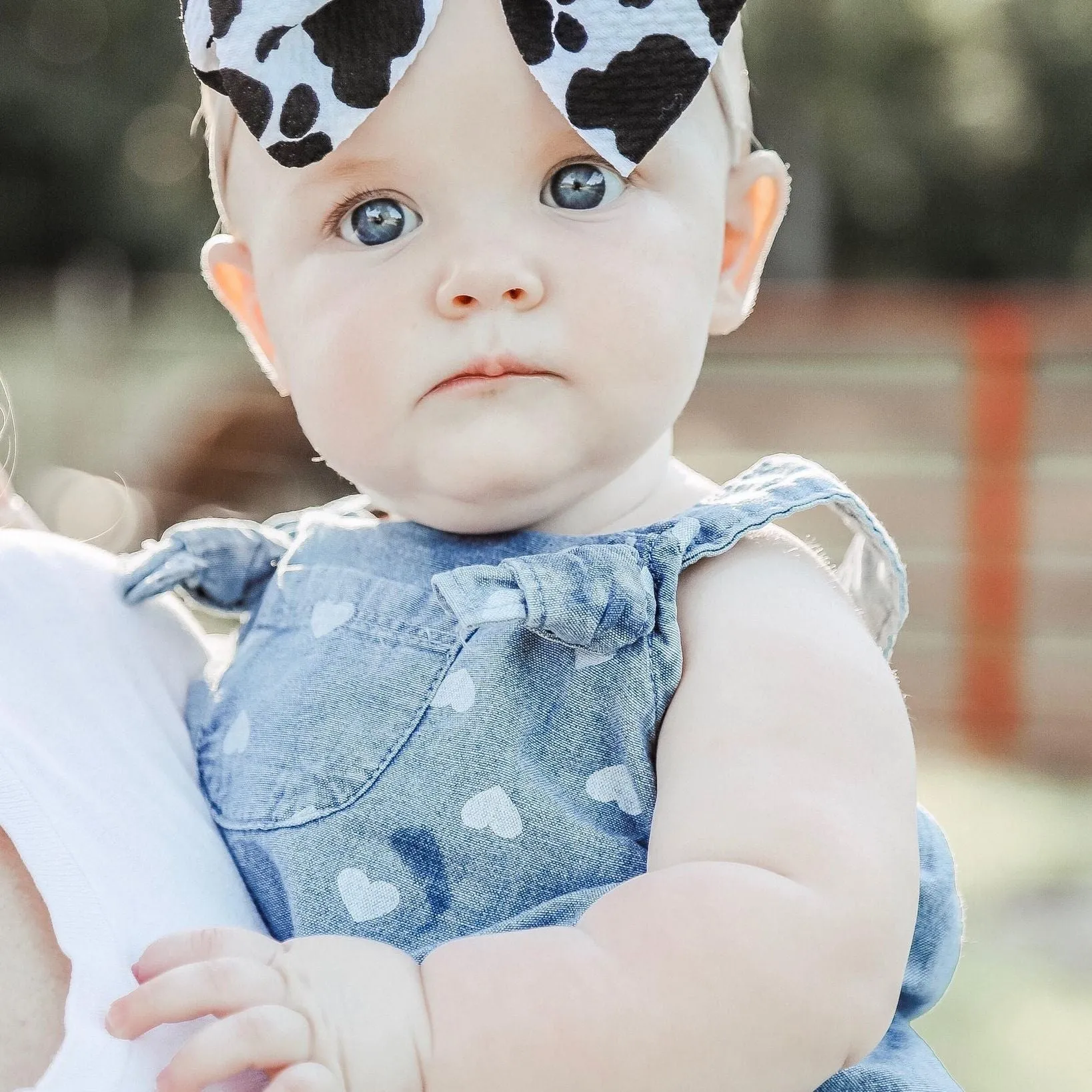 Missy Moo