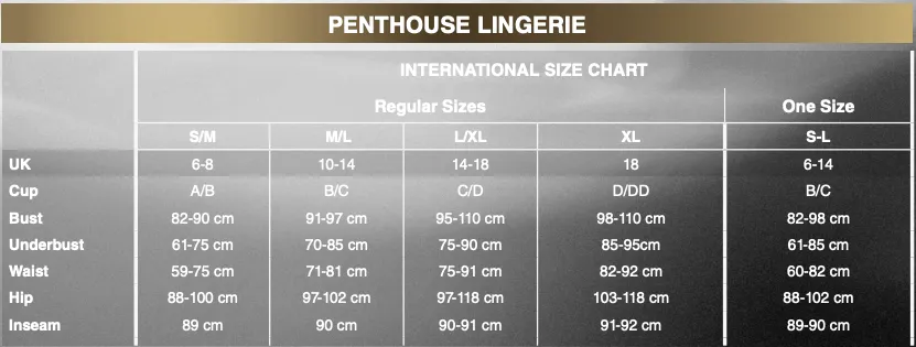 Penthouse - Firecracker Crotchless Bodystocking Costume