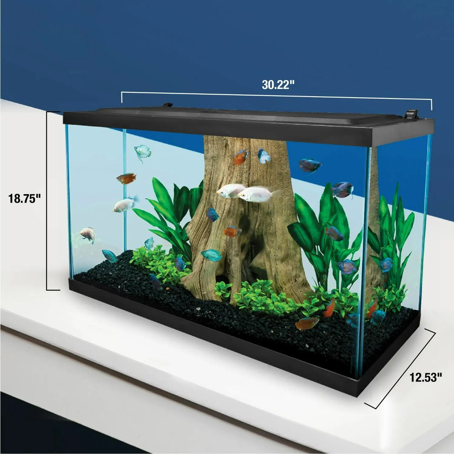 Spectrum Brands NV33834 Tetra 29 Gallon Glass LED Aquarium Kit