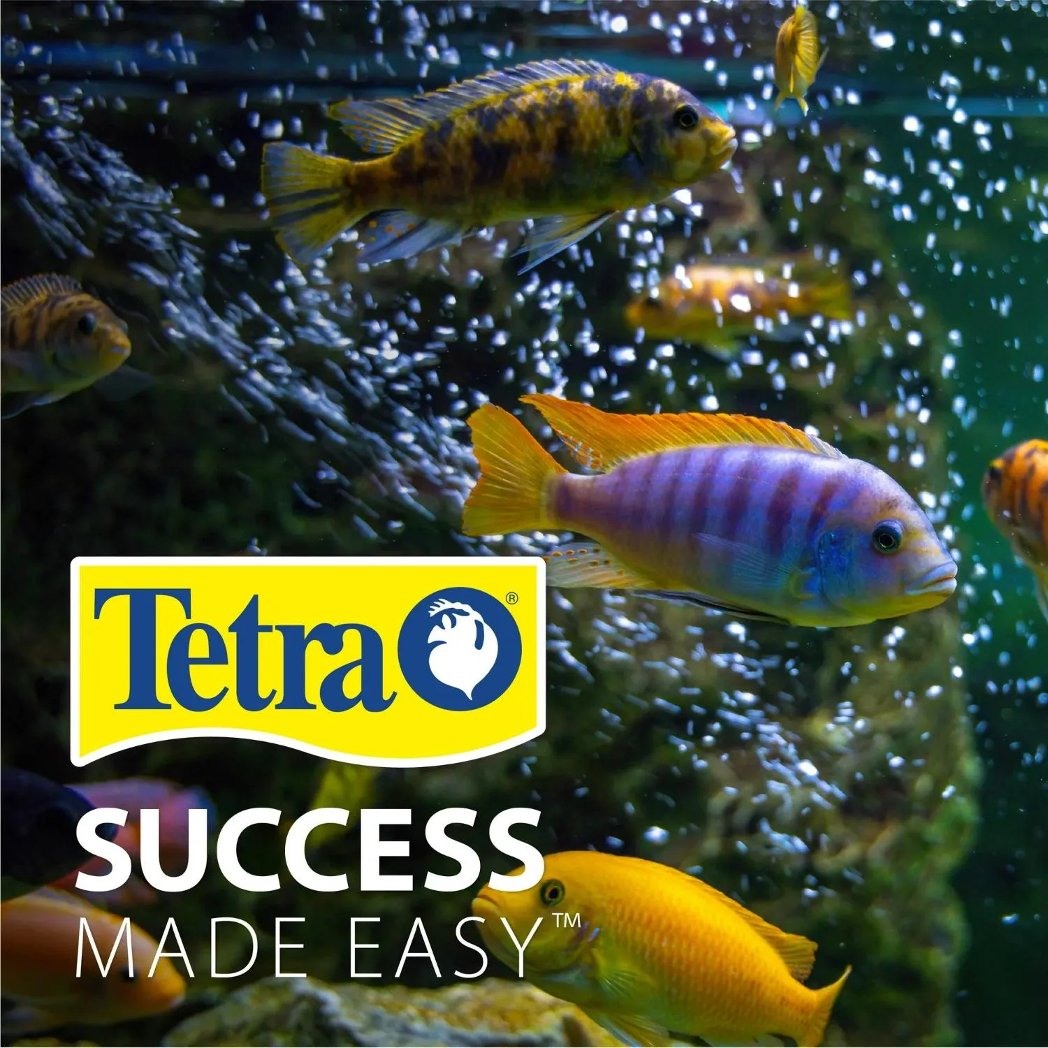 Spectrum Brands NV33834 Tetra 29 Gallon Glass LED Aquarium Kit