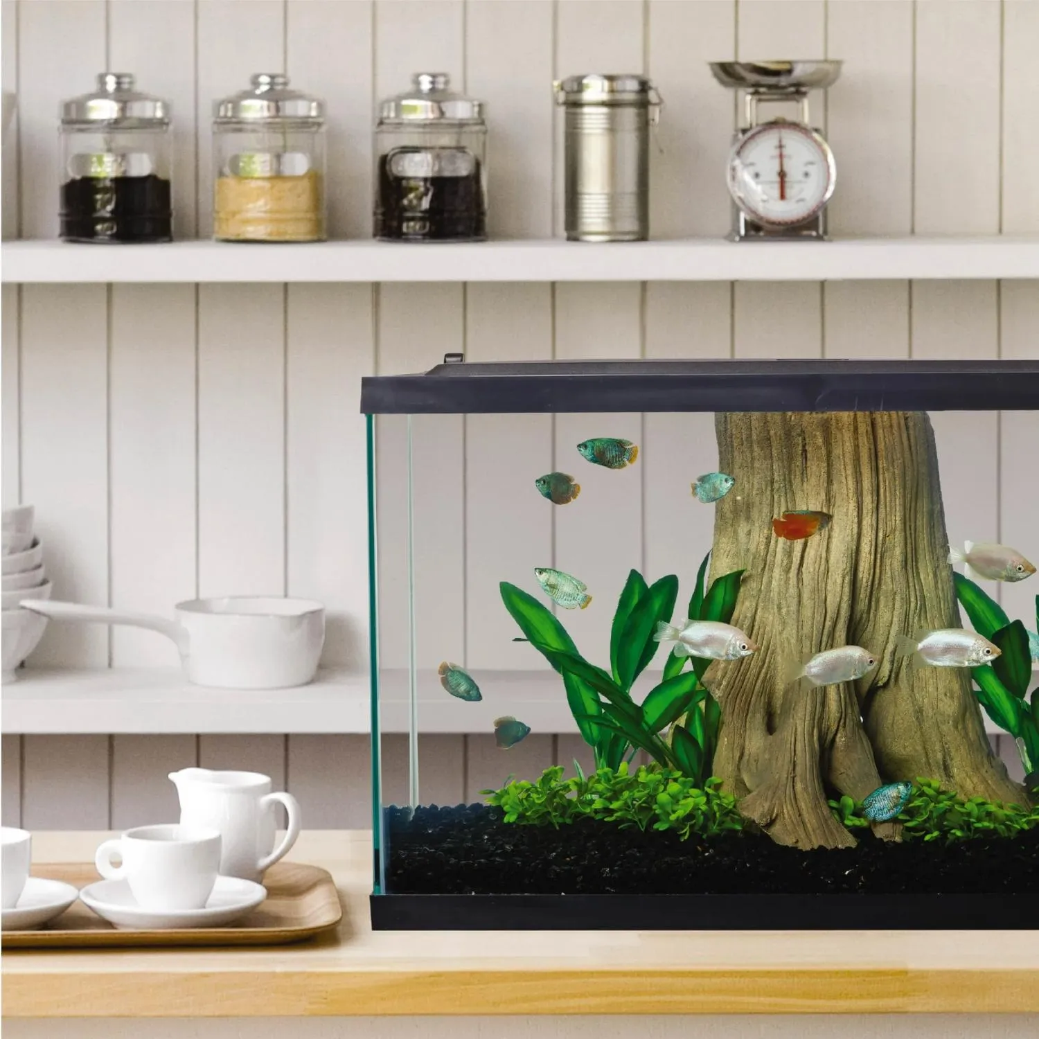 Spectrum Brands NV33834 Tetra 29 Gallon Glass LED Aquarium Kit