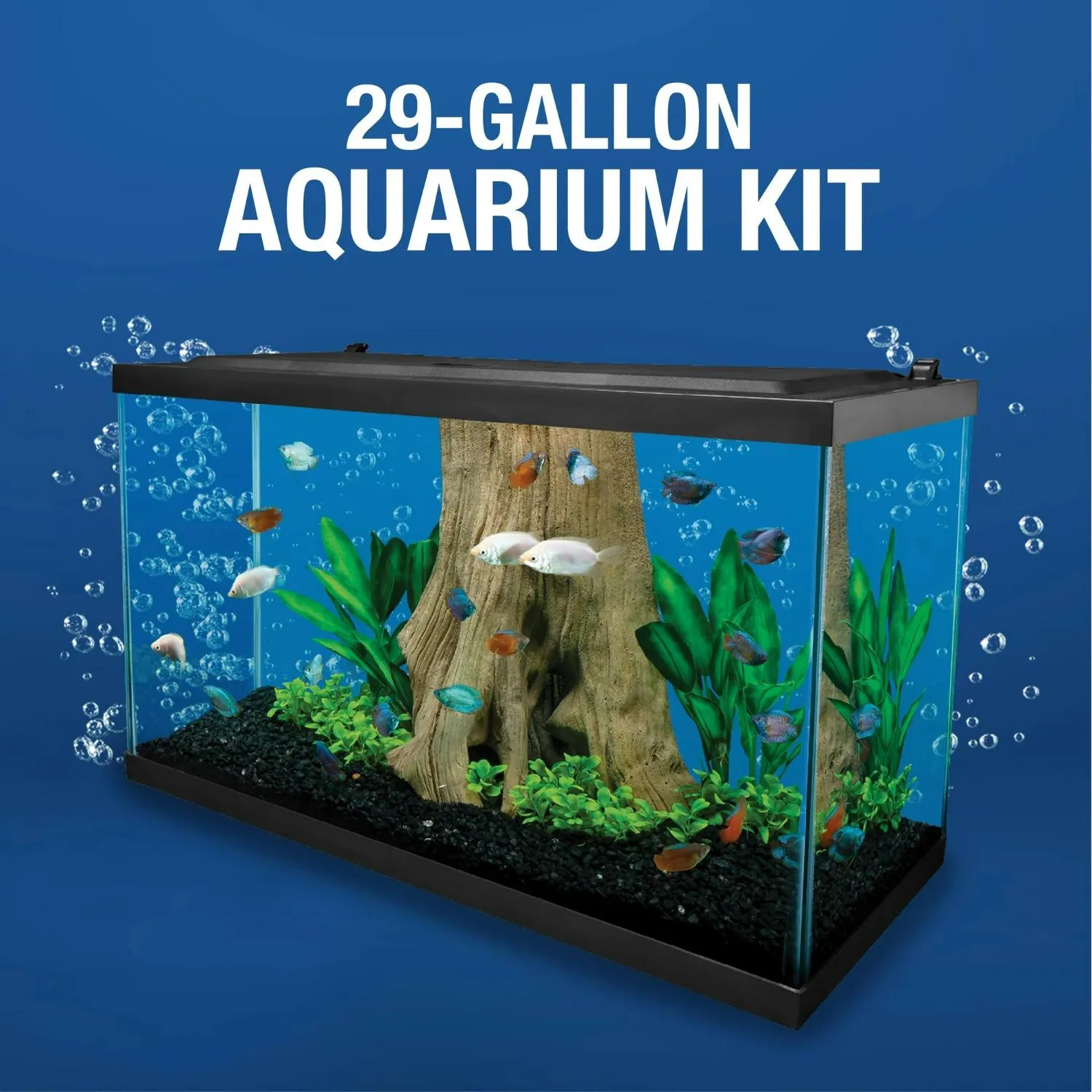 Spectrum Brands NV33834 Tetra 29 Gallon Glass LED Aquarium Kit