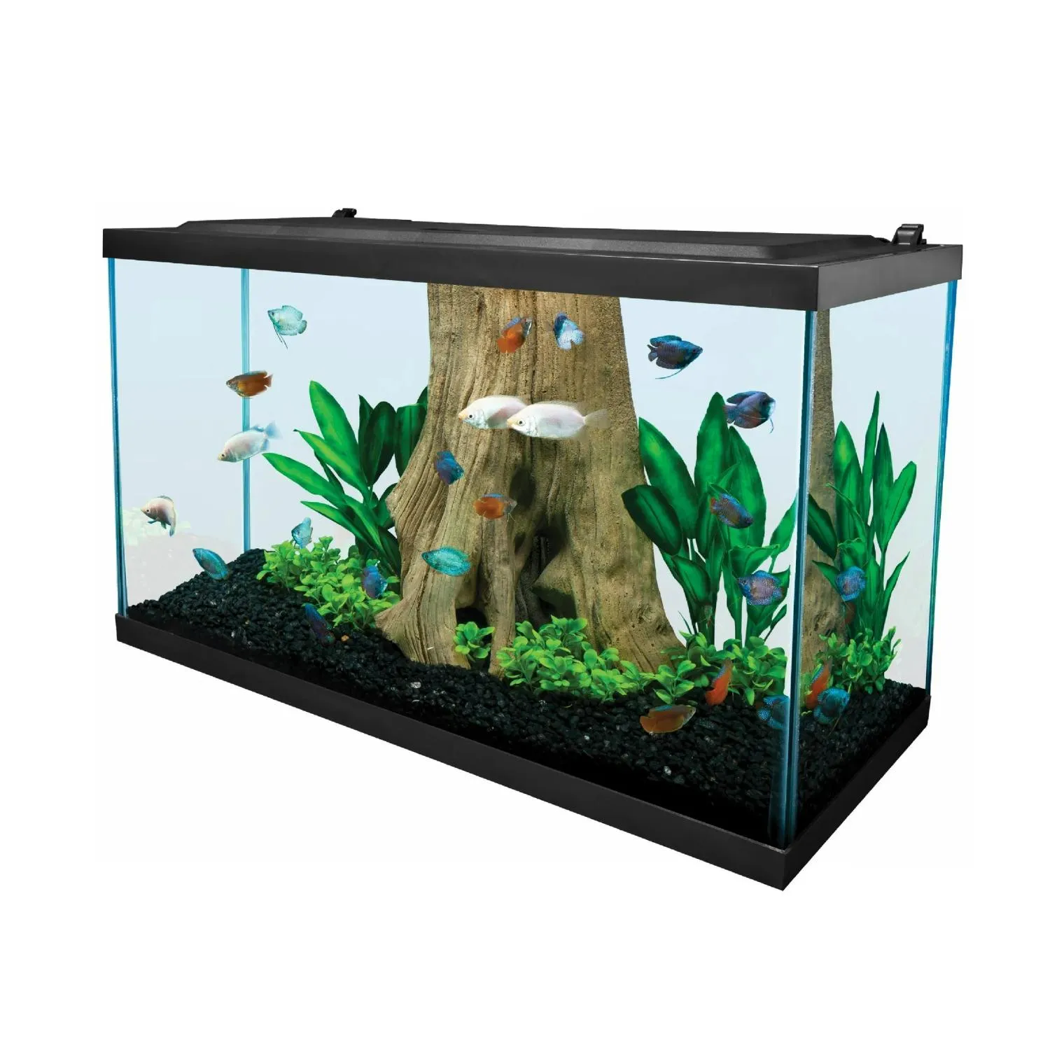 Spectrum Brands NV33834 Tetra 29 Gallon Glass LED Aquarium Kit