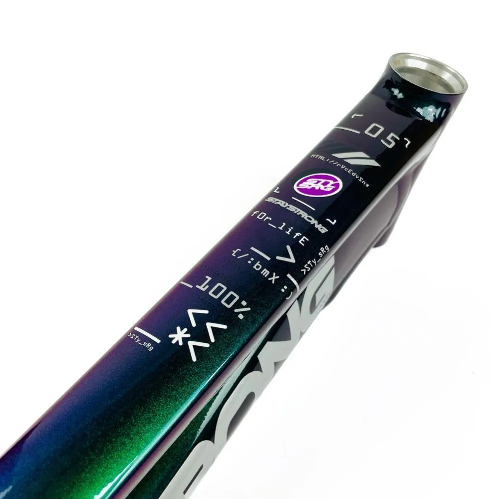 Stay Strong For Life 2024 V5 Junior Race Frame - Disc version