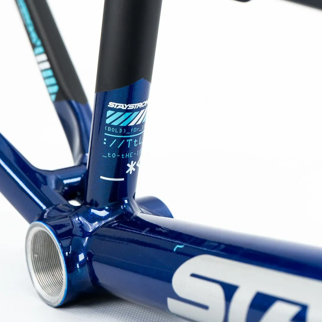 Stay Strong For Life V5 Cruiser Expert XL Frame 2025