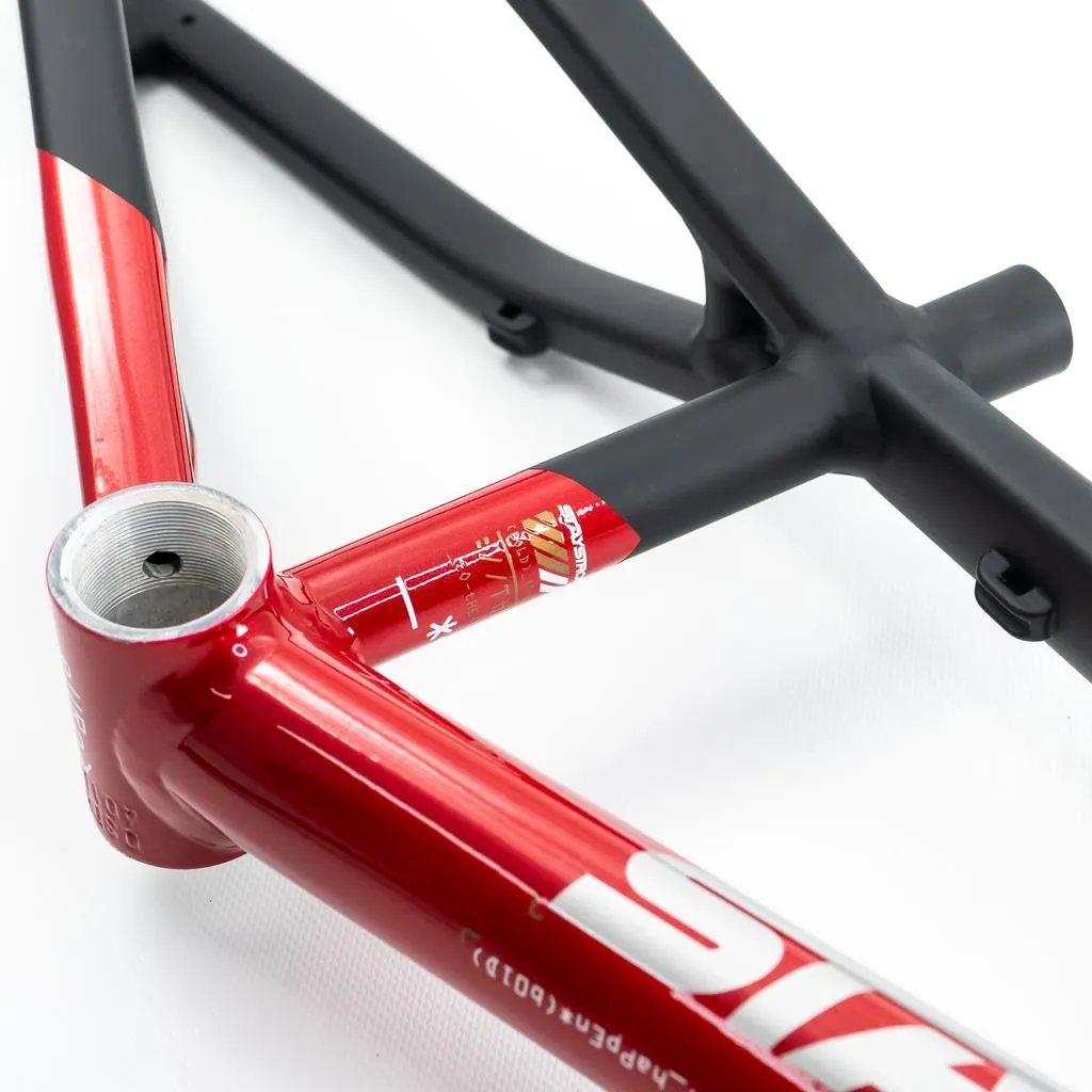 Stay Strong For Life V5 Expert XL Frame 2025