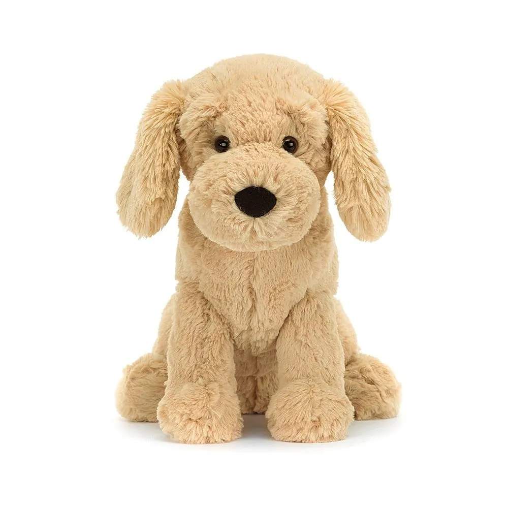 Tilly Golden Retriever Dog
