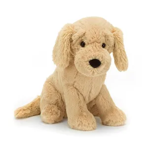 Tilly Golden Retriever Dog