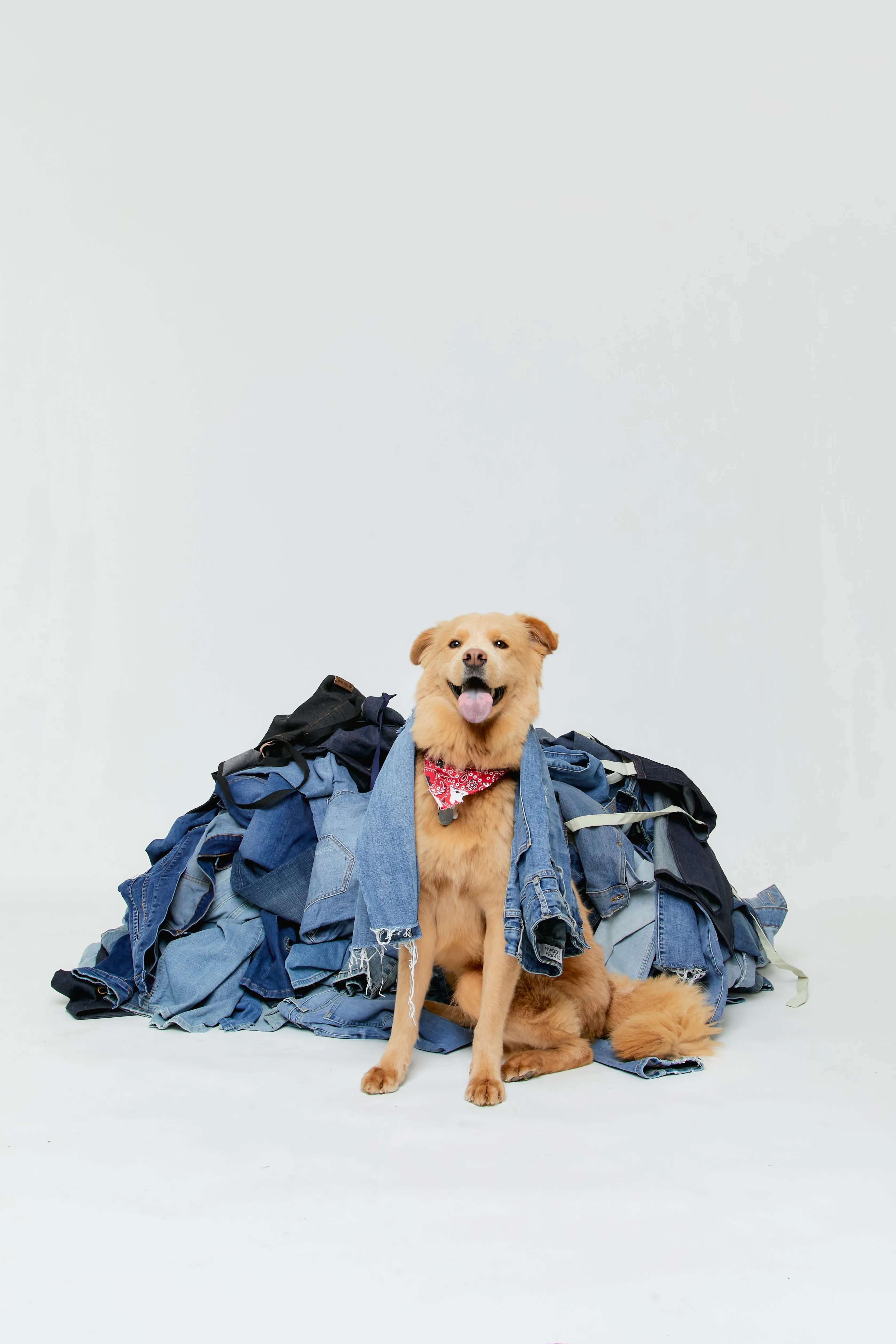 Upcycled Denim Dog Toy